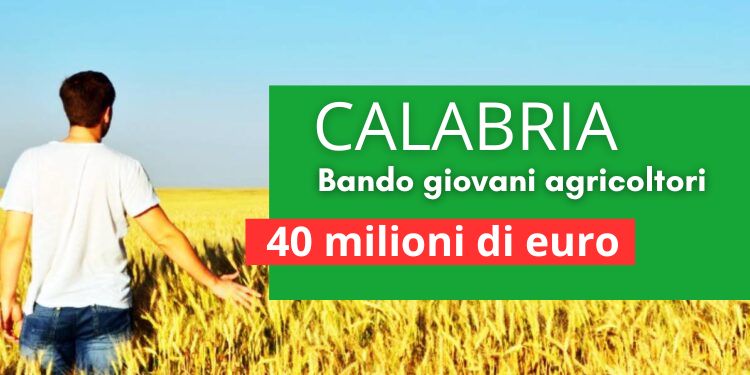 bando giovani agricoltori Calabria 40 milioni di euro
